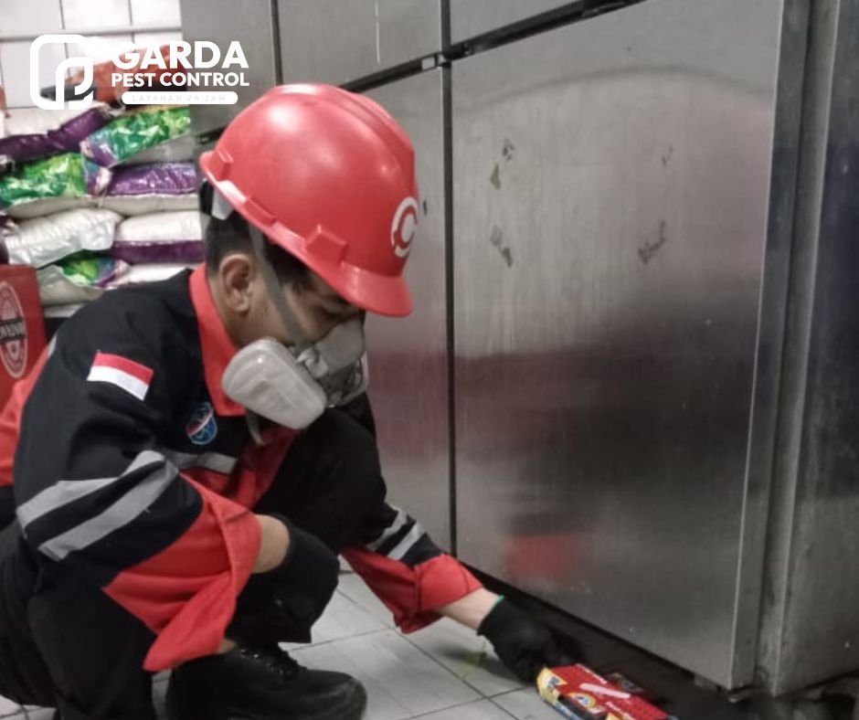 Jasa Pembasmi Kecoa di Bandung