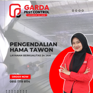Jasa Pembasmi Tawon Depok Profesional | Garda Pest Control