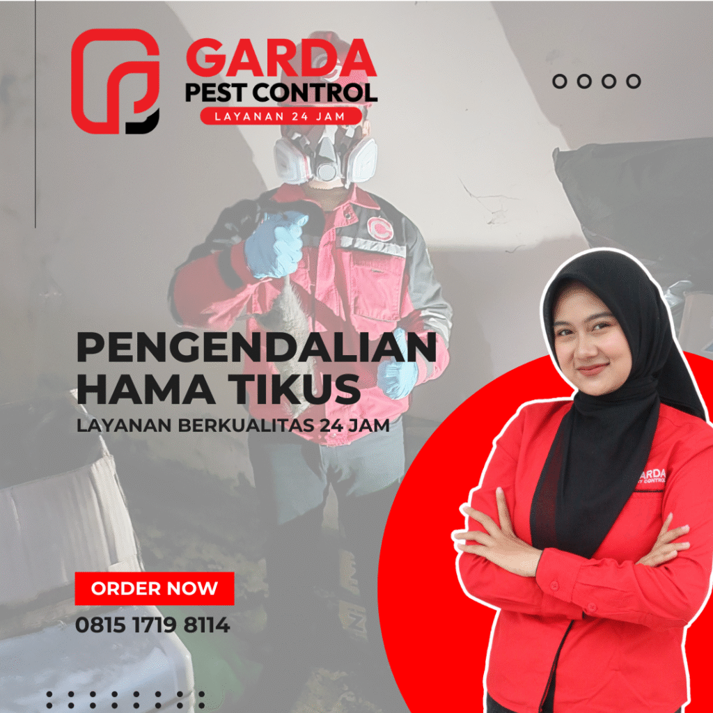 Jasa Basmi tikus terdekat di Depok