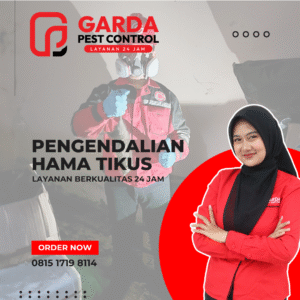 Jasa Basmi tikus terdekat di Depok