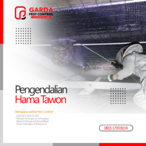 Jasa Pembasmi Sarang Tawon Terdekat di Depok