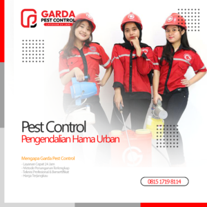 Jasa Pest Control Terdekat Pembasmi Hama Urban di Depok