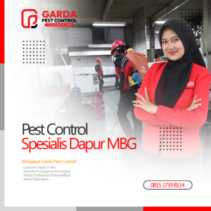 Pest Control Spesialis Dapur MBG SPPG di Depok