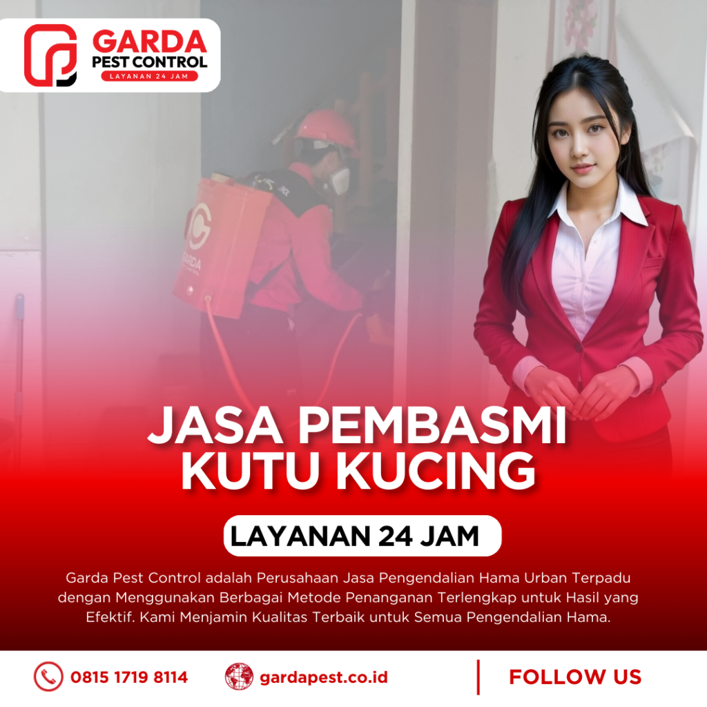 Jasa Pembasmi Kutu Kucing di Depok - Bergaransi dan Terpercaya