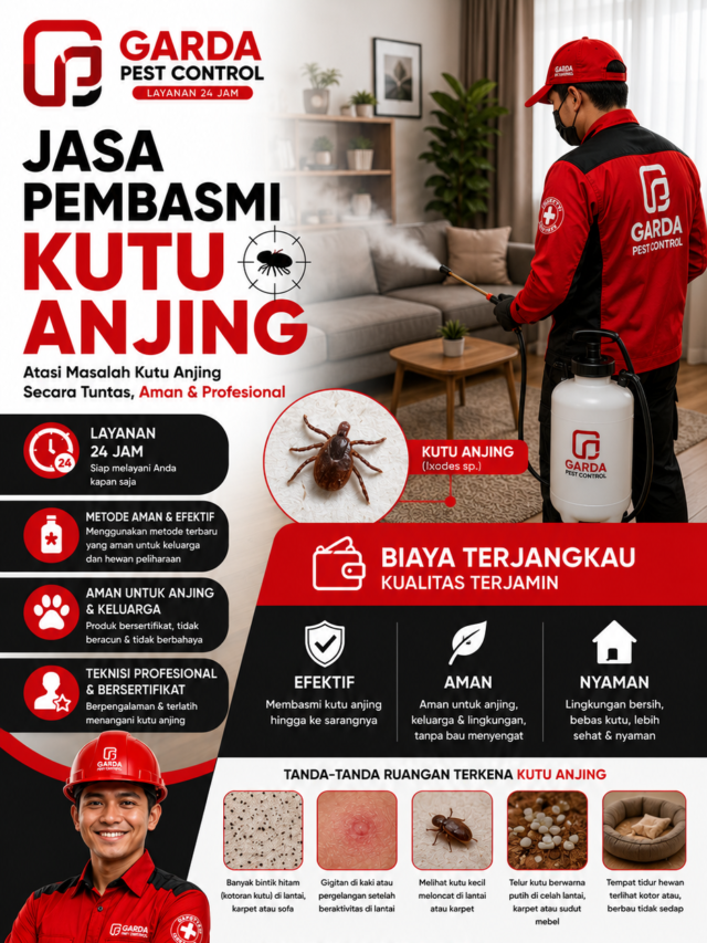 Jasa Pembasmi Kutu Anjing di Depok Cepat Murah & Bergaransi