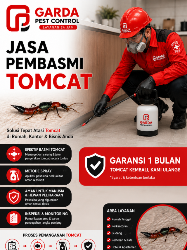 Jasa Pembasmi Tomcat di Depok Untuk Apartemen dan Rumah